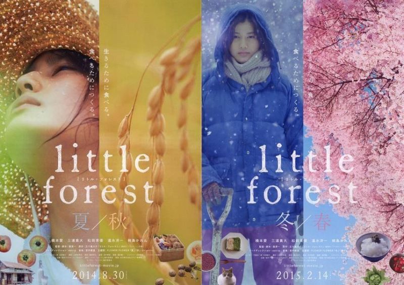 little-forest little-forest